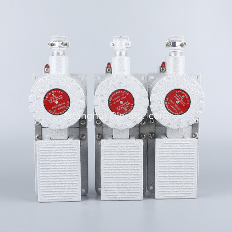 ATEX Certified Explosion Proof Limit Switch BXT-LX5 Series