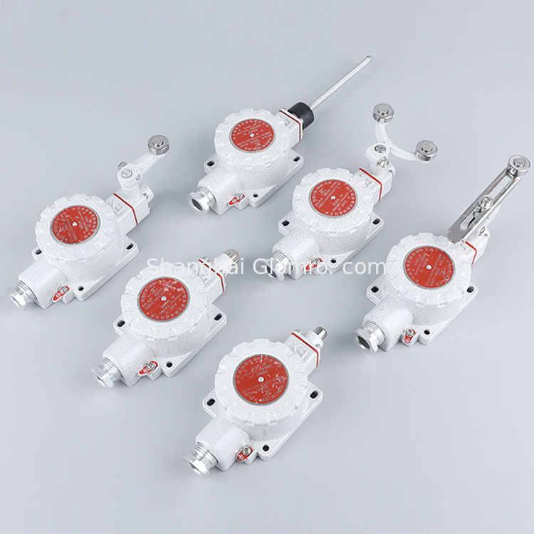 ATEX Explosion-proof Travel Switch BXT-LX5 Series for Hazardous Areas