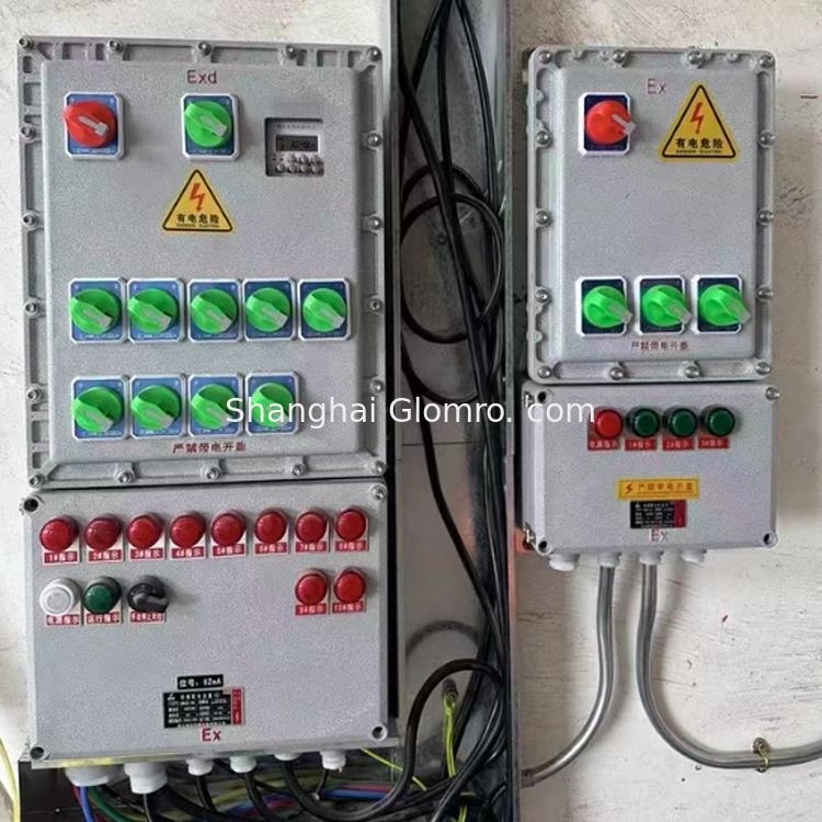 Factory ATEX IP66 BXM Series Explosion-Proof Power Distribution Junction Box for Safety and Security Measures