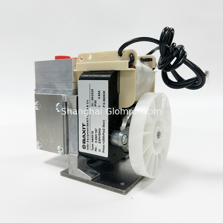 BAXIT N86KTE/N86KNE Sampling Pump - Original CEMS Component - Corrosion-Resistant Exhaust Pump - Special Pump for Online Smoke Gas Monitoring
