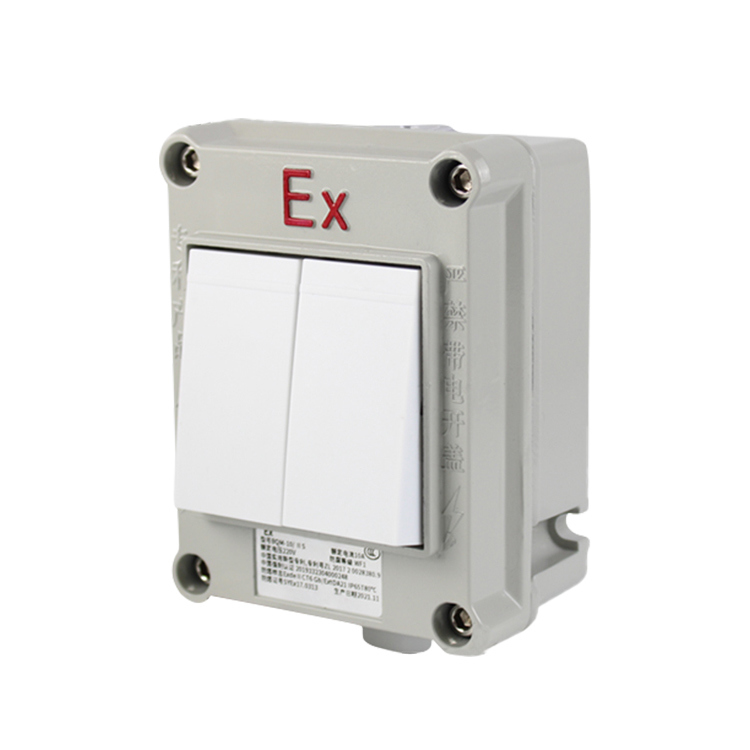 IP66 SW-10 Hazardous Location Water Proof On-off Light Switch Explosion Proof Switch
