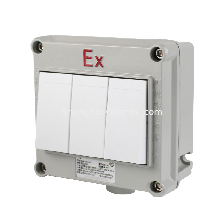 SW Series IP66 Explosion-proof Aluminum Alloy Lighting Switches uk standard wall switches