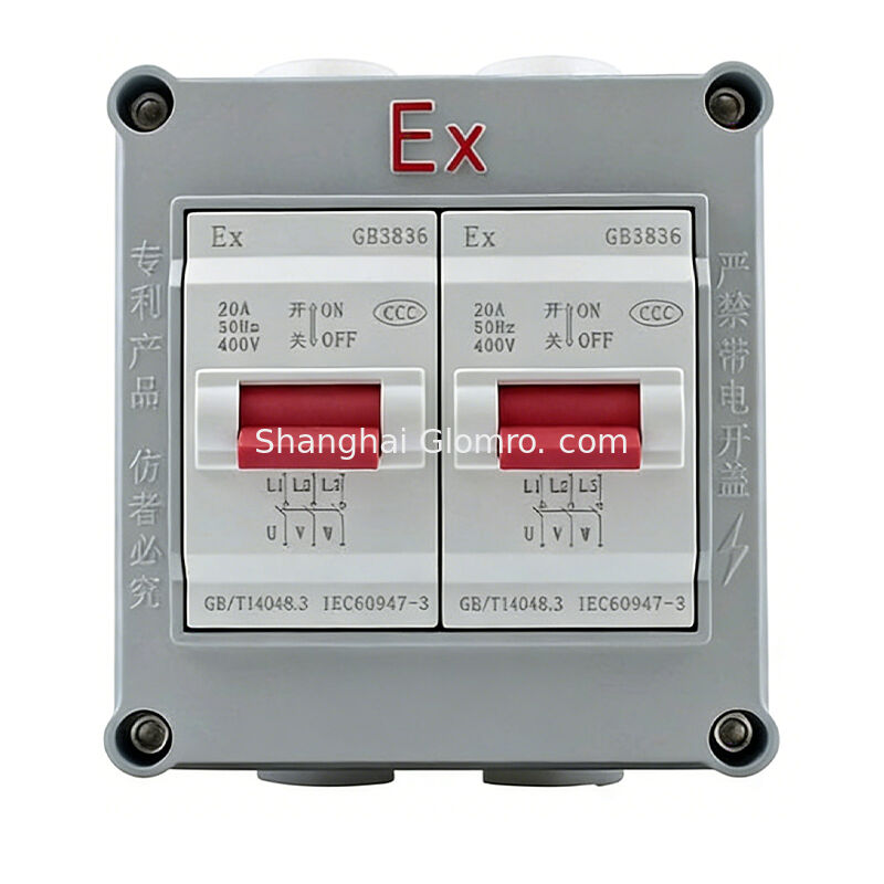 Two switches 20A Explosion-Proof Air Switch AC 220V/380V Zone 1/2 Application