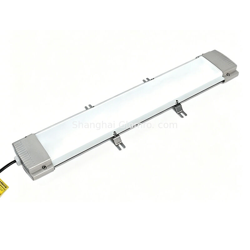 Durable Project Level Explosion-proof fluorescent lamp Factory Workshop General Use 20W-80W