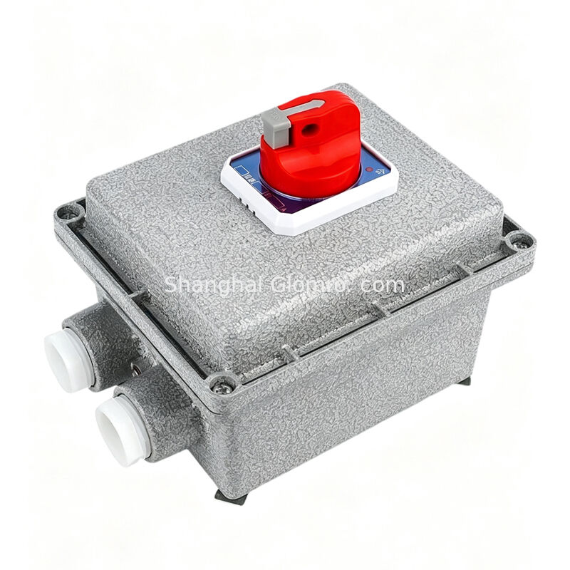 Square 3P Hazardous Area Cutoff Housing 10A 16A 20A 25A 32A 40A 63A 100A Cast Aluminum Flame Resistant MCB Enclosure Three Pole Ex-Proof Circuit Breaker


