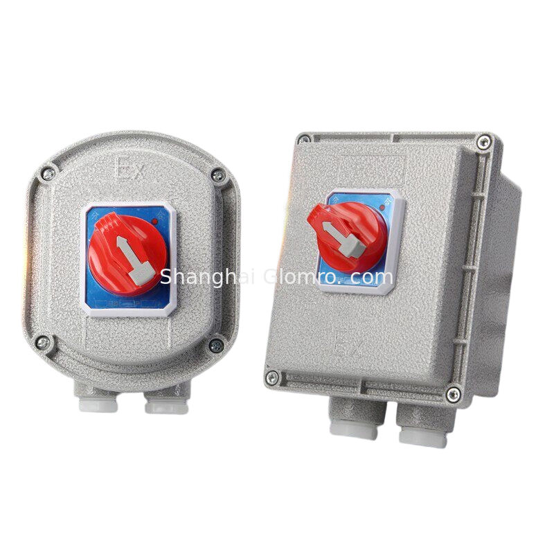 Flameproof Enclosure Die Cast Aluminum IP65 Ex Db Eb Iib T6 GB MCB Cabinet Chint 2p/3p/4p Mini Circuit Breaker G3/4 G1 Cable