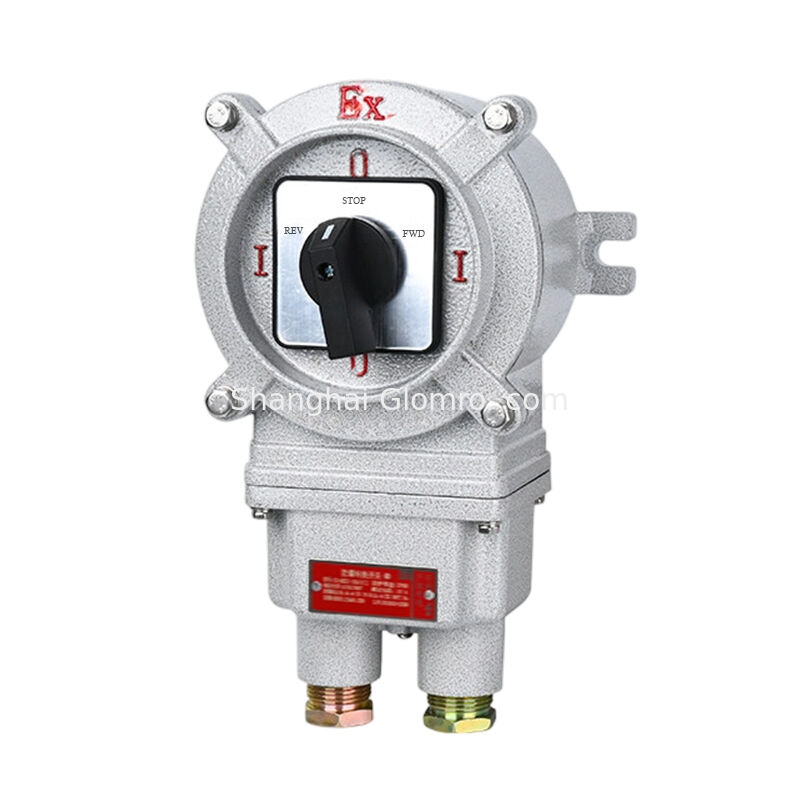 Dual Rated Ex Iic & Iiic 32A Explosion Proof Transfer Switch IP66 Splash Proof Controller for Gas & Dust Hazardous Zones
