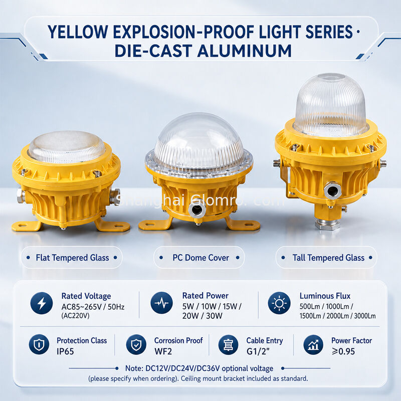 GLOMRO Heavy Duty Explosion Proof LED Area Light 30W SMD 3000Lm AC85V-265V for Petrochemical Plants